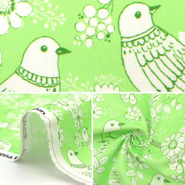 【数量5から】 生地 『USAコットン ブエナ・ビスタ CX10022-LIME』