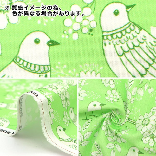 【数量5から】 生地 『USAコットン ブエナ・ビスタ CX10022-VIOLE』