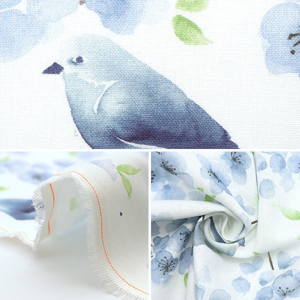 【数量5から】 生地 『USAコットン ブルーバード・ファミリー DDC9928-BLUE』