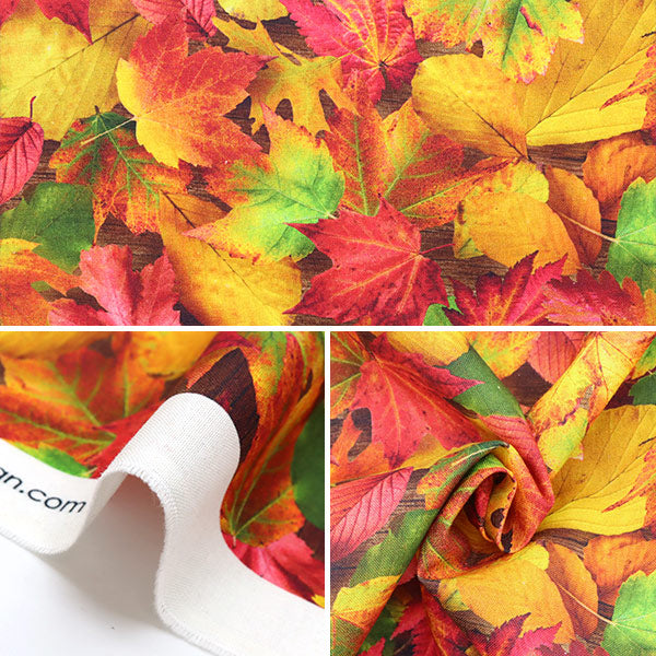 【数量5から】 生地 『USAコットン イマジニングズ ネイチャー(紅葉柄) 20910-268』