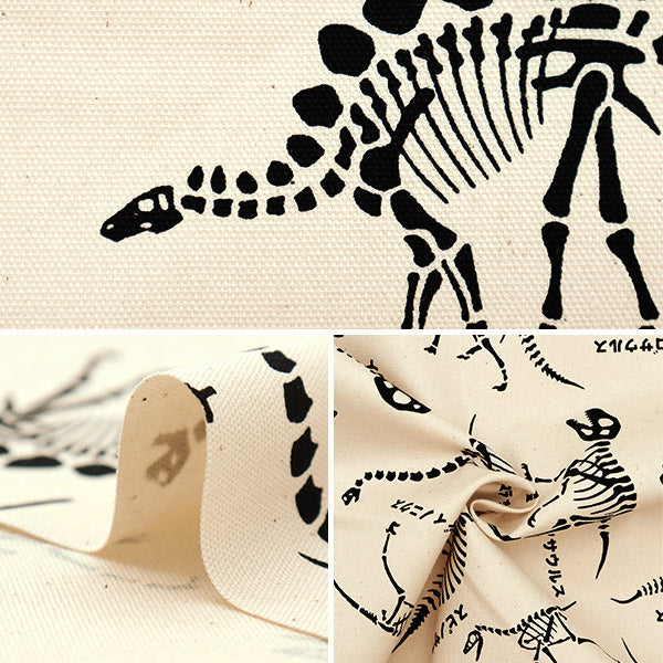 【数量5から】 生地 『オックス 恐竜の骨 オフホワイト NNF-06-OW』