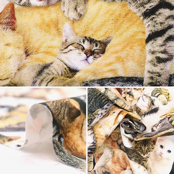 【数量5から】 生地 『USAコットン パーフェクトハングアウト C1033-MULTI』