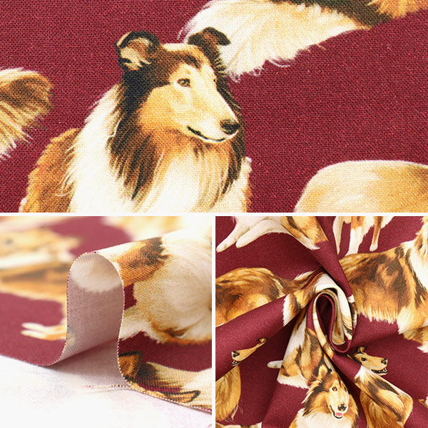 【数量5から】 生地 『USAコットン ピュアブリード C1031-MARON』