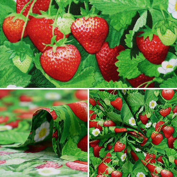 【数量5から】 生地 『USAコットン ベリー・グッド ストロベリー柄 507-GREEN』