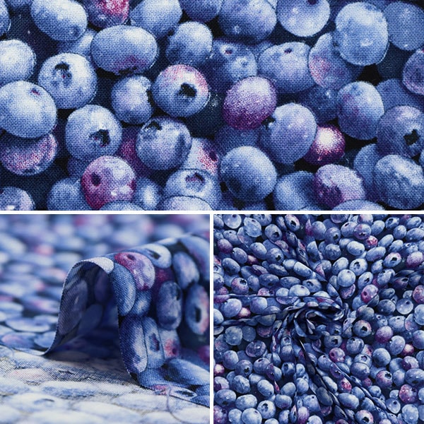 【数量5から】 生地 『USAコットン ベリー・グッド ブルーベリー柄 509-BLUE』