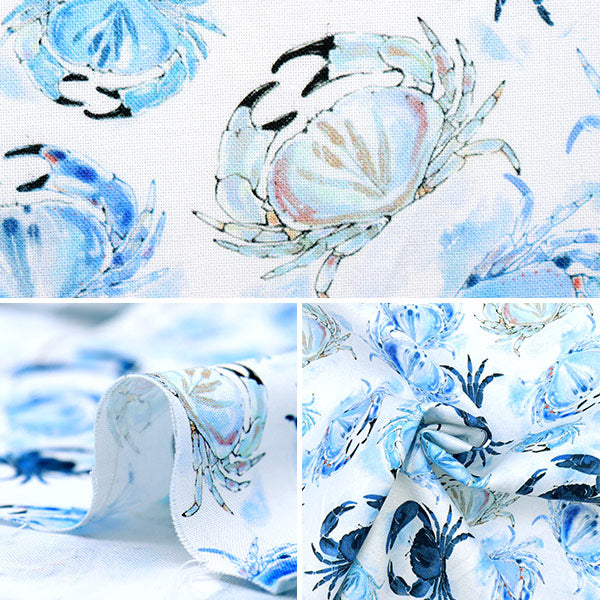 【数量5から】 生地 『USAコットン オーシャン・ブルー・クラブズ CD1302-WHITE』