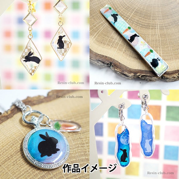 مادة الراتنج "صورة ظلية للأرنب على الوجهين RC-RAB-101" نادي الراتنج