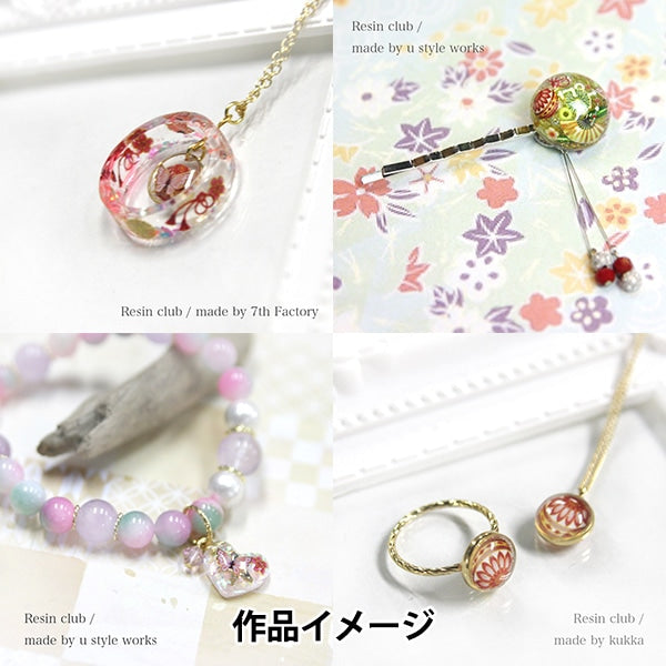 MATÉRIAU DE RESIN "Modèle japonais RC-WAG-101 à double face" Club de résine