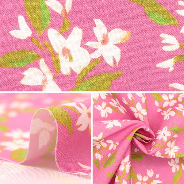 【数量5から】 生地 『USAコットン dearSTELLA POSIES DCWR2130-RASB』