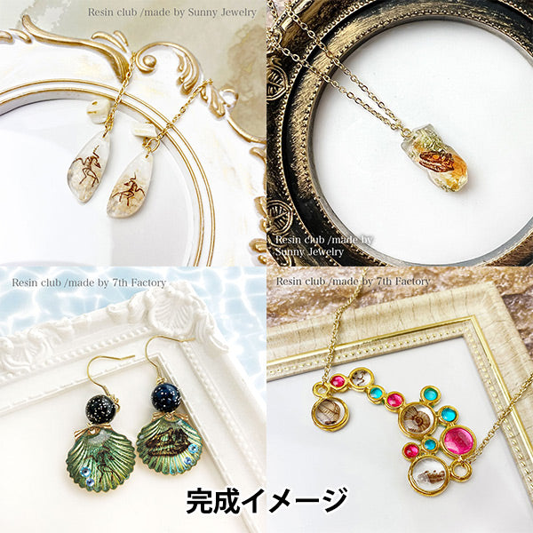 레진성분 "양면 화석 rc-fos-101" 레진클럽