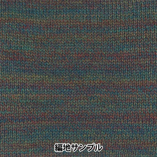 Fall and winterYarn "SKI LOBEL (Ski Robel) 8104 Color" SKIYARN Ski Yarn