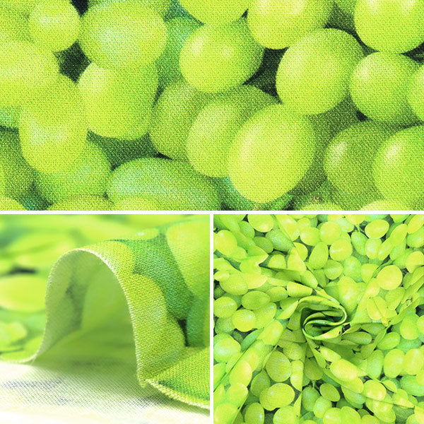 【数量5から】 生地 『USAコットン パックド・グレープス グリーン FRUIT-CD1373』