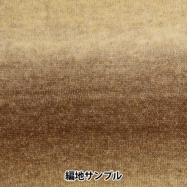 秋冬毛糸 『ヘアリーグラデーション 5番色』