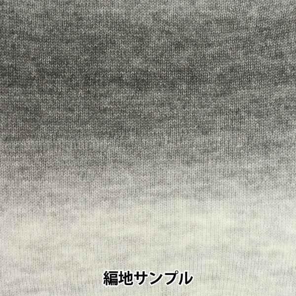 秋冬毛糸 『ヘアリーグラデーション 11番色』