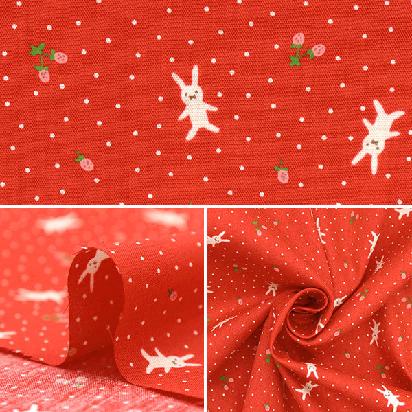 【数量5から】 生地 『ホーミーコレクション スケア うさぎ DH11989S-F』