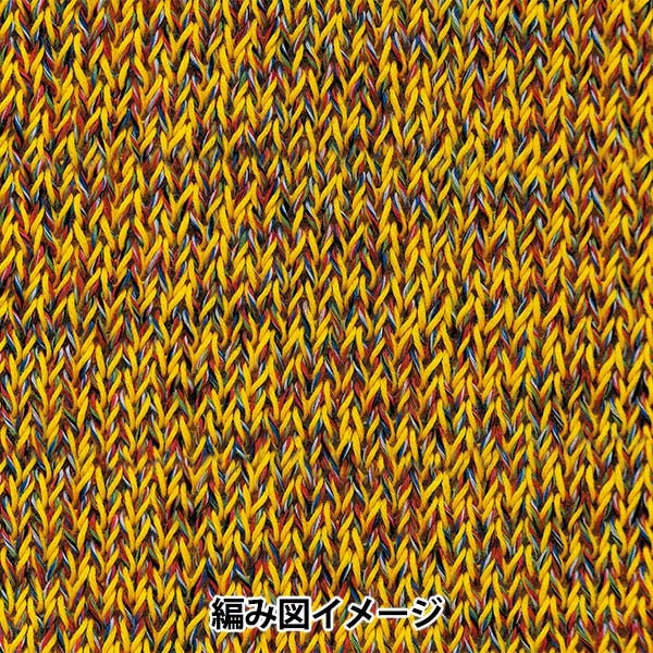 春夏毛糸 『ドラ・マール 6番色』 RichMore リッチモア