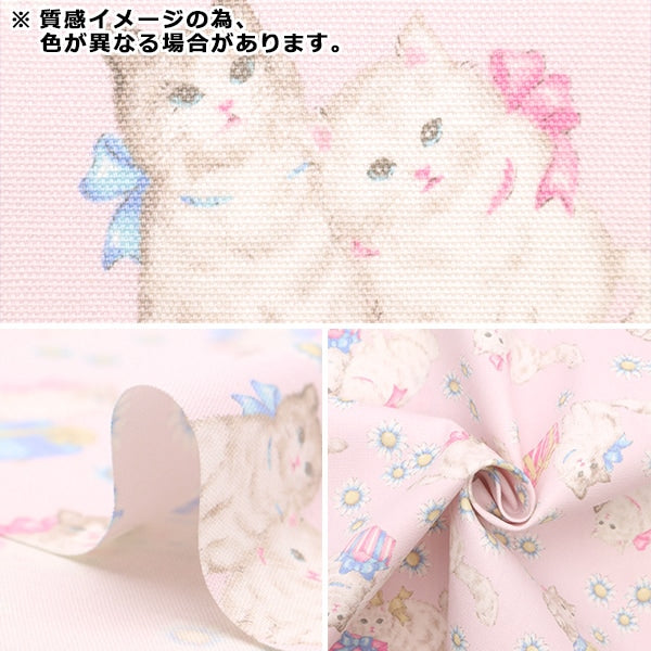 【数量5から】 生地 『オックス クラシカルモダン プレゼントキャット グリーン CMOF-68-G』