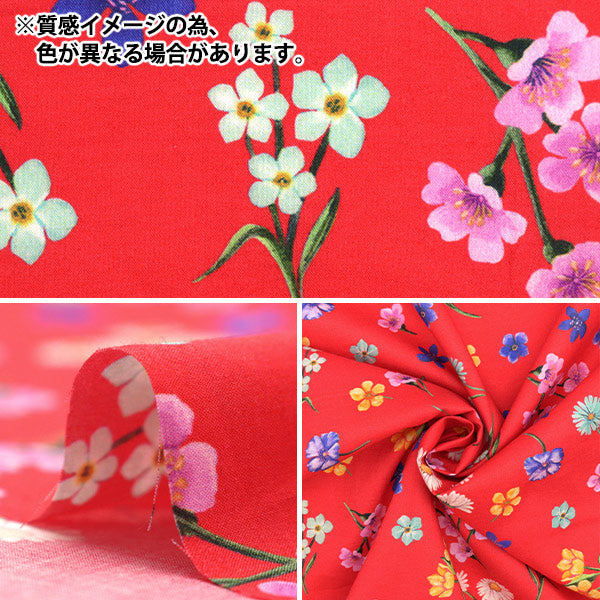 【数量5から】 生地 『リバティ・ファブリックス タナローン フローラプリマヴェーラ 3633226-23BT』 Liberty Japan リバティジャパン