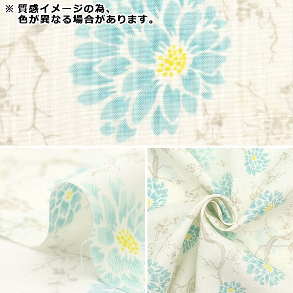 【数量5から】 生地 『スケア 和柄 KYM-2301-C』