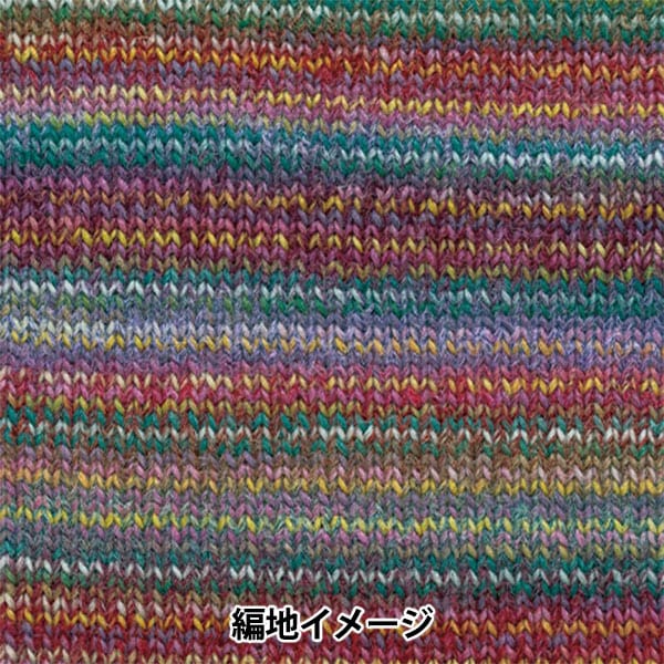 Autunno e invernoFilato "Dina 25th Color" Hamanaka