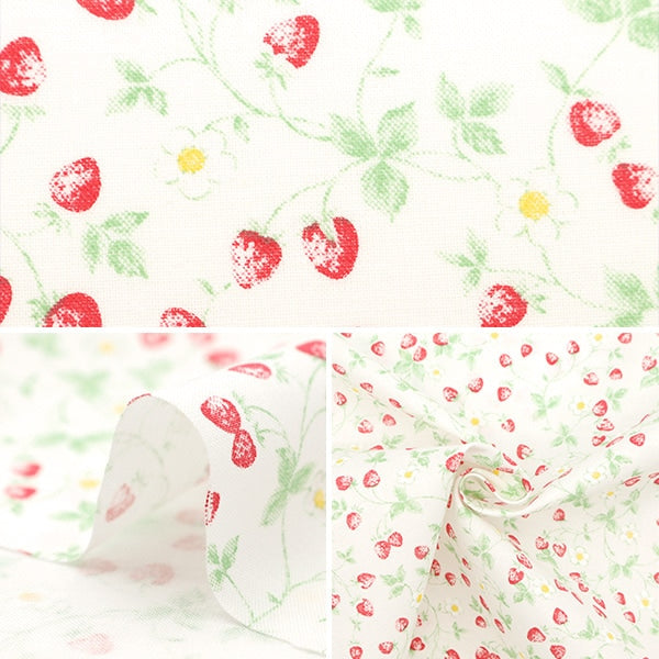 【数量5から】 生地 『シーチング いちご ホワイト NO-STRA-A』
