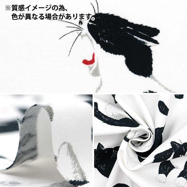 【数量5から】 生地 『オックス ねこ ナチュラル OX35406-2B』