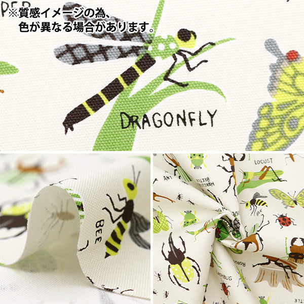 【数量5から】 生地 『オックス カラフルキャンバス 昆虫図鑑柄 ブルーグレー COCAN-INC-BLG』 KOKKA コッカ