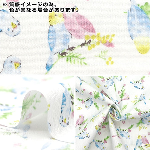 【数量5から】 生地 『シーチング カラフルキャンバス 水彩インコ柄 ライトミント COCAN-BIR-LMI』 KOKKA コッカ
