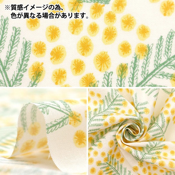 【数量5から】 生地 『kippis (キッピス) シーチング ミモザ ライトグリーン KPS-80B』