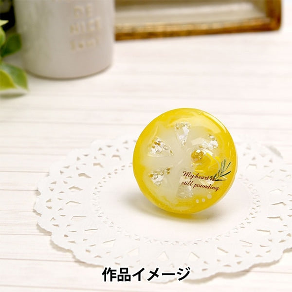 Moule de résine "Silicon Motif Spatial Slice Fruit RSSD-377" Eruberu Elbert