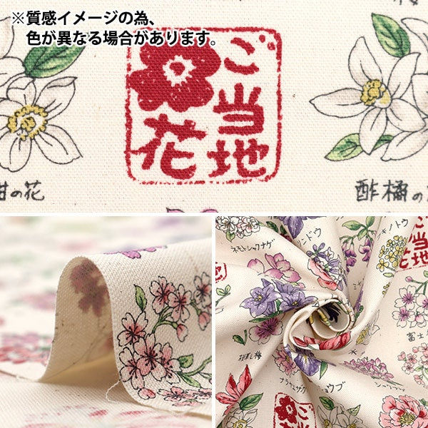【数量5から】 生地 『オックス ご当地シリーズ 花 ブルー YPA-51000-1D』 KOKKA コッカ