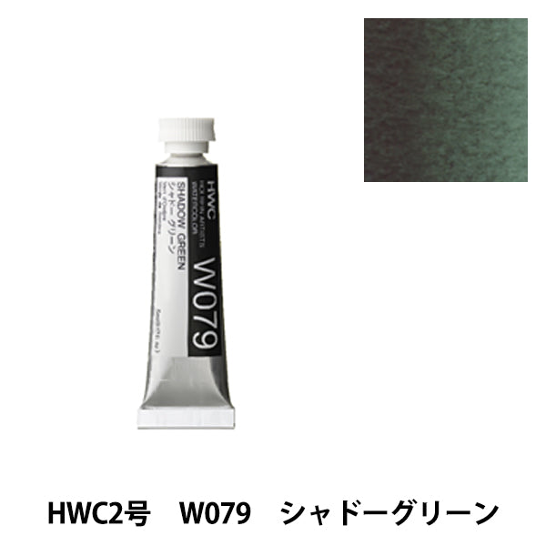 Dipinto "Watercolor trasparente W079 Shadow Green HWC2" Holbein Holbein