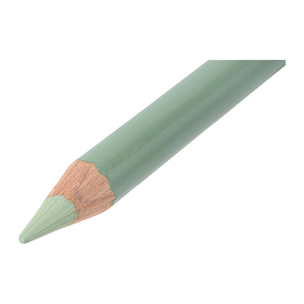 Pasterpot Pencil P51 Green grigio 500191" Conte a Parigi