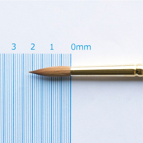 Bildpinsel "Aquarellmalerei Pure Sable Round 110 Extra Punkt Nr. 10 T909-110-10" Rembrandt