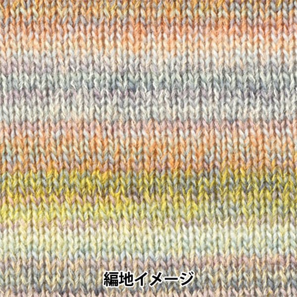 Herbst und WinterGarn "Dina (Dina) Nr. 1" Hamanaka