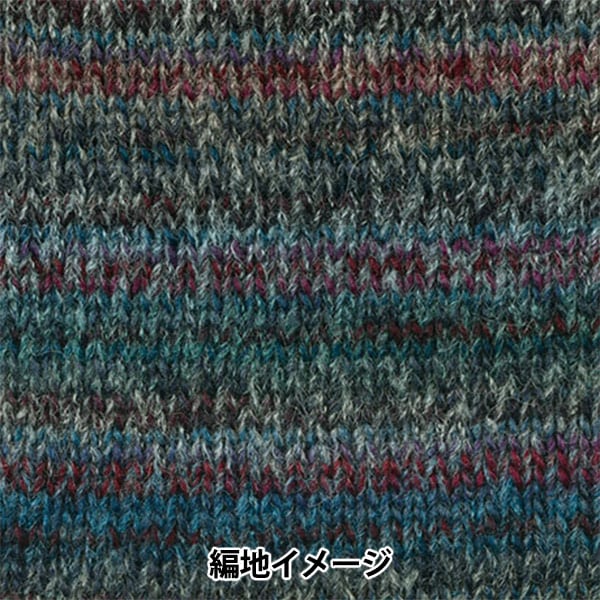 Herbst und WinterGarn "Dina (Dina) 6. Farbe" Hamanaka