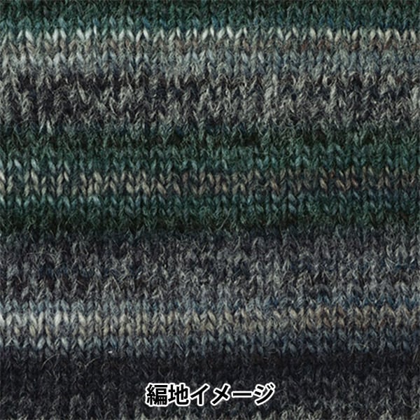 Herbst und WinterGarn "Dina (Dina) 8. Farbe" Hamanaka