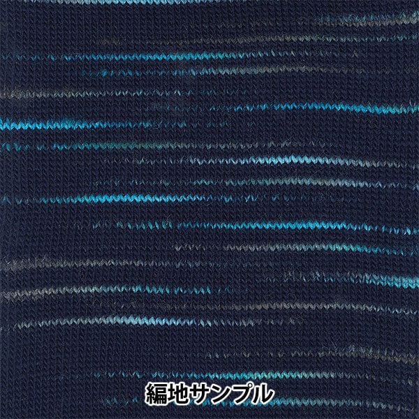 가을과 겨울털실 "스키 트루 노 2716 No."