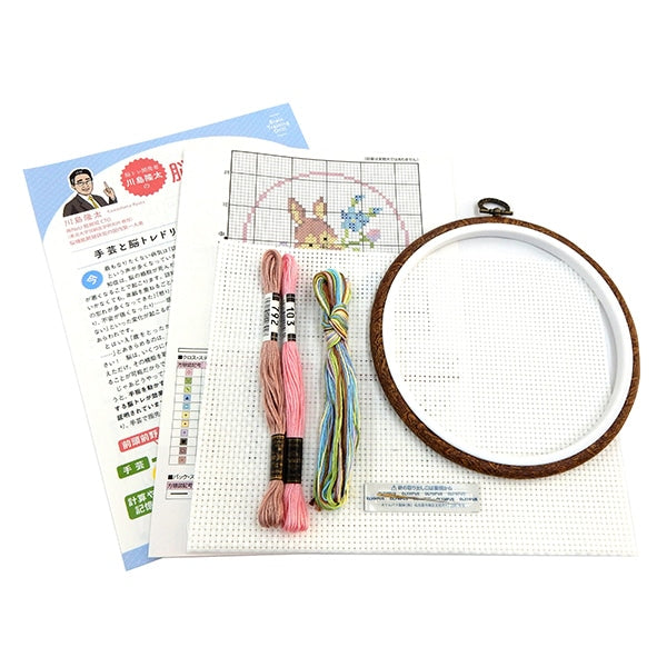 Kit de broderie "Sent de croisement du cerveau du cerveau Rabbit YN-4"