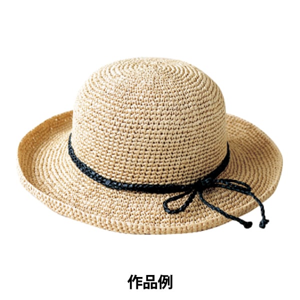 Fil d'artisanat "ANTIBACTERIAL Andaliya 669th Couleur" Hamanaka