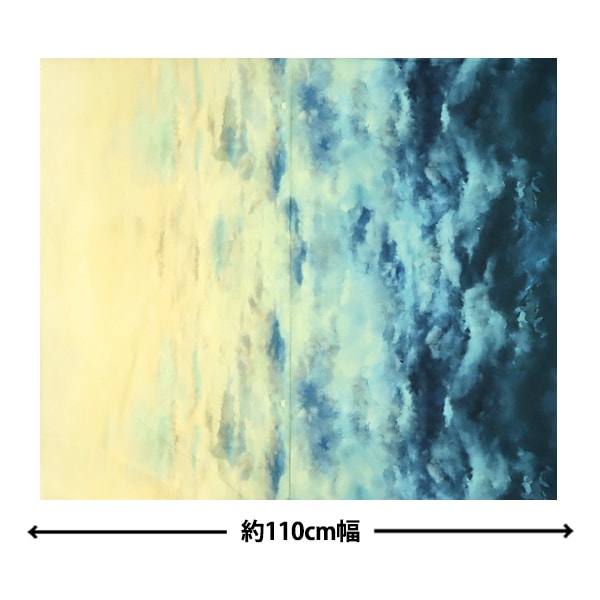 【数量5から】 生地 『USAコットン サウス・ウェスタン・スカイ フレンチブルー T4916-F7』