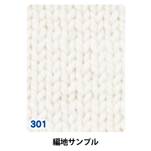 Autunno e invernoFilato "Pure Wool Super Fight Spesso 301 Numero bianco"
