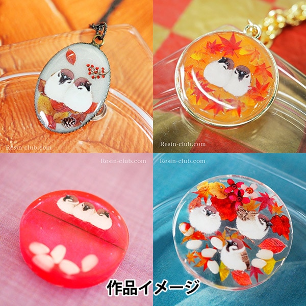 مادة الراتنج "Suzume RC-SZM-101" نادي الراتنج