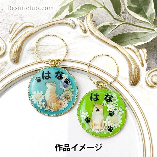 Material de resina "Hiragana negro RC-HIR-002" Club de resina