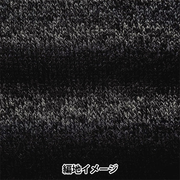 Fall and winterYarn "Baccarat Epock 282 Color" Rich More Rich More