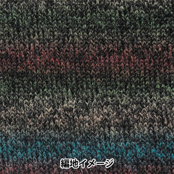 Fall and winterYarn "Baccarat Epock 283 Color" Rich More Rich More