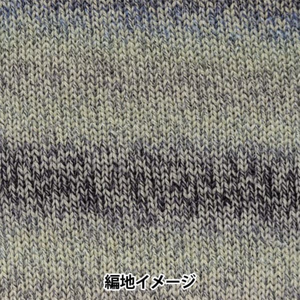 Fall and winterYarn "Baccarat Epock 284 Color" RICH MORE Rich More