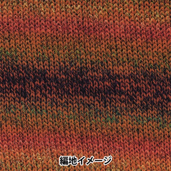 Fall and winterYarn "Baccarat Epock 285 Color" Rich More Rich More