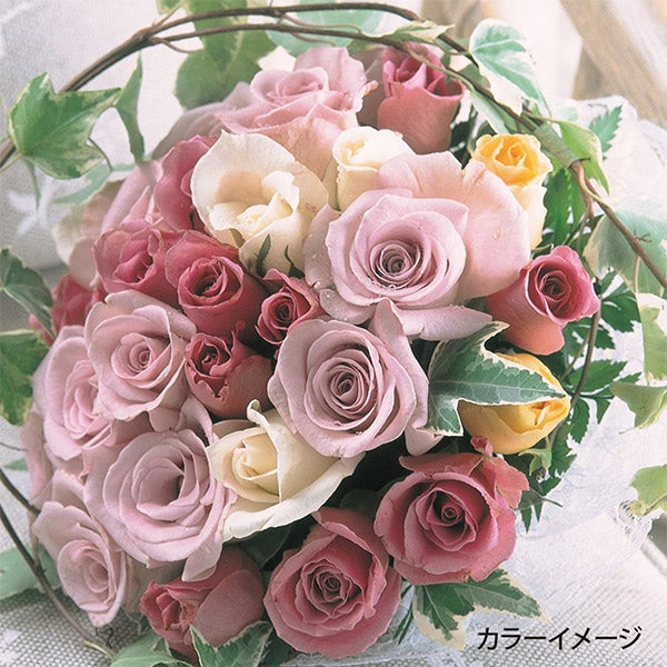 خيط التطريز "مجموعة خيوط التطريز GARDEN PARTY مع باقة الورد GP-25D" Olympus