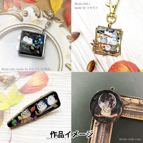 Materiale in resina "RC-OWL-101 a doppia faccia da gufo" Resin Club